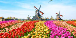 CleanTech trends in the Netherlands